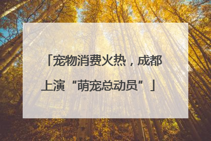 宠物消费火热，成都上演“萌宠总动员”