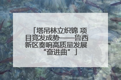 塔吊林立织锦 项目竞发成势——鲁西新区奏响高质量发展“奋进曲”