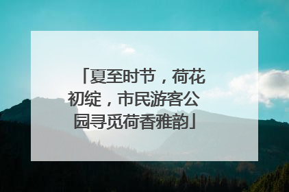 夏至时节，荷花初绽，市民游客公园寻觅荷香雅韵