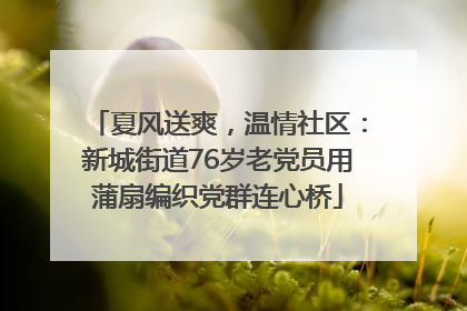 夏风送爽，温情社区：新城街道76岁老党员用蒲扇编织党群连心桥