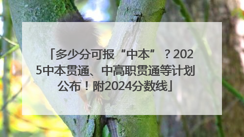 多少分可报“中本”？2025中本贯通、中高职贯通等计划公布！附2024分数线