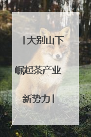 大别山下崛起茶产业新势力