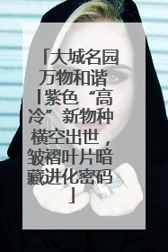 大城名园 万物和谐│紫色“高冷”新物种横空出世，皱褶叶片暗藏进化密码