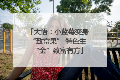 大悟：小蓝莓变身“致富果” 特色生“金”致富有方