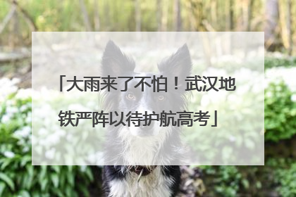大雨来了不怕！武汉地铁严阵以待护航高考