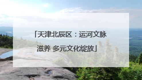天津北辰区：运河文脉滋养 多元文化绽放