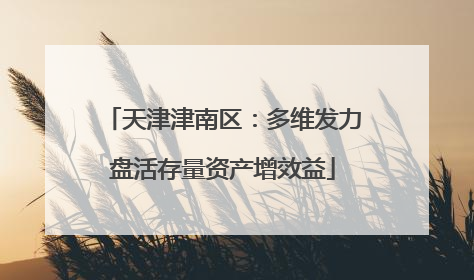 天津津南区：多维发力盘活存量资产增效益