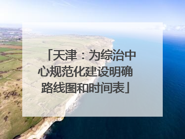 天津：为综治中心规范化建设明确路线图和时间表