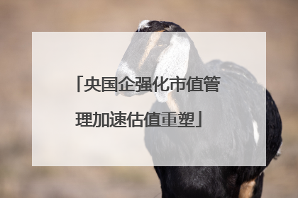 央国企强化市值管理加速估值重塑