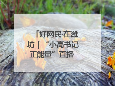 好网民·在潍坊｜“小高书记正能量”直播 带动群众致富
