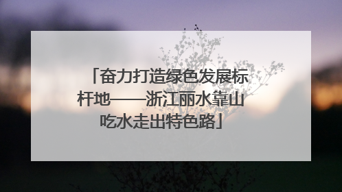 奋力打造绿色发展标杆地——浙江丽水靠山吃水走出特色路