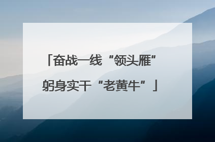 奋战一线“领头雁” 躬身实干“老黄牛”