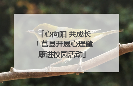 心向阳 共成长！莒县开展心理健康进校园活动