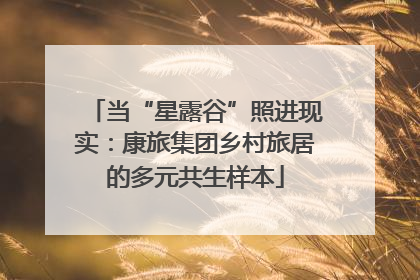当“星露谷”照进现实：康旅集团乡村旅居的多元共生样本