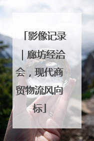 影像记录｜廊坊经洽会，现代商贸物流风向标