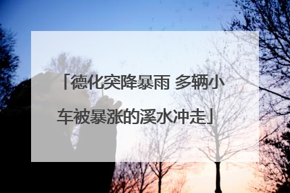 德化突降暴雨 多辆小车被暴涨的溪水冲走