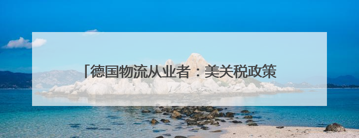 德国物流从业者：美关税政策多变 企业适应“非常困难”
