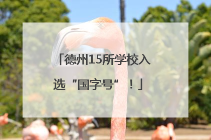 德州15所学校入选“国字号”！
