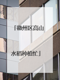徽州区高山水稻种植忙
