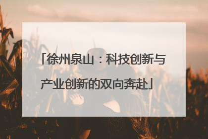 徐州泉山：科技创新与产业创新的双向奔赴
