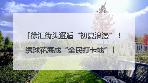 徐汇街头邂逅“初夏浪漫”！绣球花海成“全民打卡地”