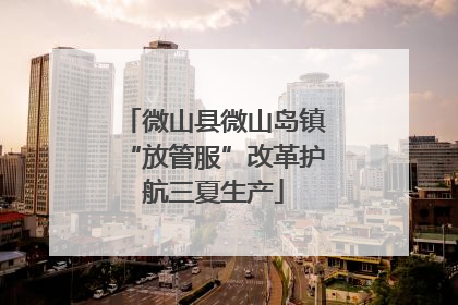 微山县微山岛镇“放管服”改革护航三夏生产