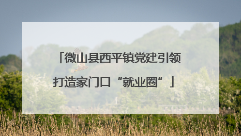 微山县西平镇党建引领打造家门口“就业圈”
