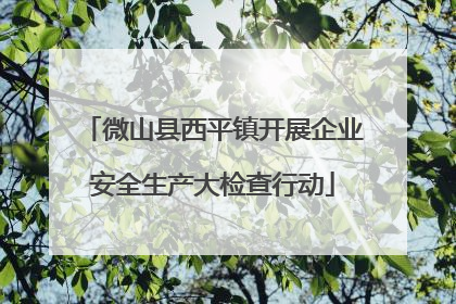 微山县西平镇开展企业安全生产大检查行动