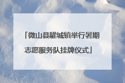 微山县驩城镇举行暑期志愿服务队挂牌仪式