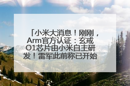 小米大消息！刚刚，Arm官方认证：玄戒O1芯片由小米自主研发！雷军此前称已开始大规模量产