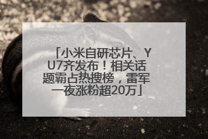 小米自研芯片、YU7齐发布！相关话题霸占热搜榜，雷军一夜涨粉超20万