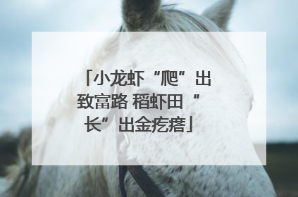小龙虾“爬”出致富路 稻虾田“长”出金疙瘩