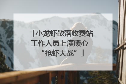 小龙虾散落收费站 工作人员上演暖心“抢虾大战”