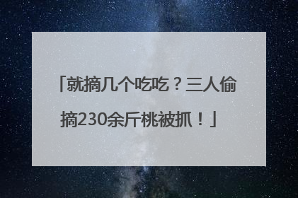 就摘几个吃吃？三人偷摘230余斤桃被抓！
