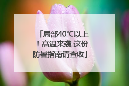 局部40℃以上！高温来袭 这份防暑指南请查收