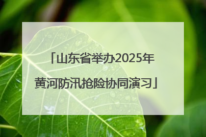 山东省举办2025年黄河防汛抢险协同演习