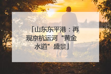 山东东平港：再现京杭运河“黄金水道”盛景
