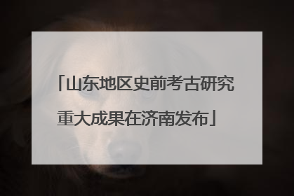 山东地区史前考古研究重大成果在济南发布