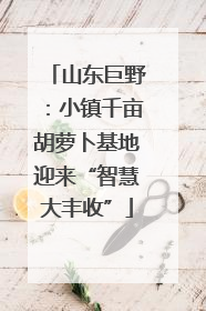 山东巨野：小镇千亩胡萝卜基地迎来“智慧大丰收”