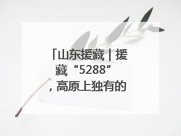 山东援藏｜援藏“5288”，高原上独有的“烟台浪漫”