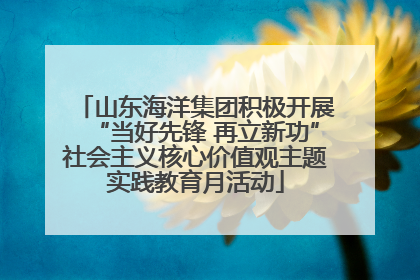 山东海洋集团积极开展“当好先锋 再立新功”社会主义核心价值观主题实践教育月活动