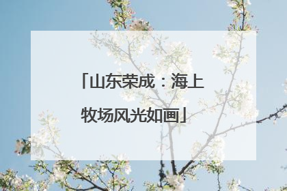 山东荣成：海上牧场风光如画