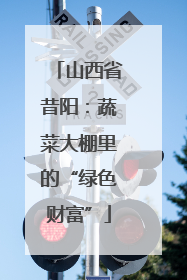山西省昔阳：蔬菜大棚里的“绿色财富”