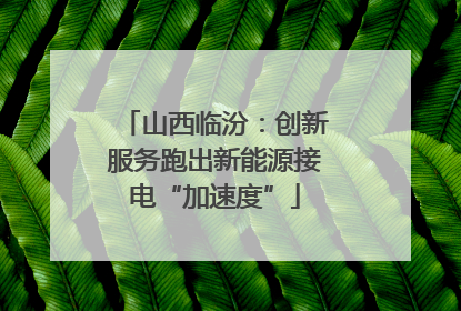 山西临汾：创新服务跑出新能源接电“加速度”