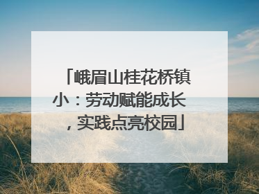 峨眉山桂花桥镇小：劳动赋能成长，实践点亮校园