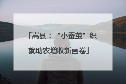 嵩县：“小蚕茧”织就助农增收新画卷
