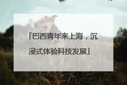 巴西青年来上海，沉浸式体验科技发展