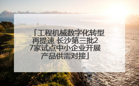 工程机械数字化转型再提速 长沙第三批27家试点中小企业开展产品供需对接