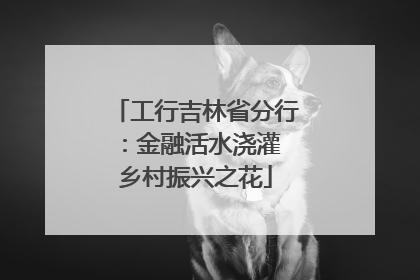 工行吉林省分行：金融活水浇灌 乡村振兴之花