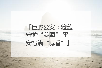 巨野公安：藏蓝守护“蒜海” 平安写满“蒜香”